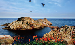 ulsanview_02.jpg